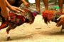 VIZAGVISION:దుర్గగుడి ఈవో సూర్యకుమారిపై వేటు...నూతన ఈఓగా రామచంద్రమోహన్...రహస్య పూజల వివాద ఫలితం...