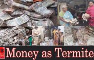5 లక్షల నగదుకు చెదలు పట్టి చిత్తుకాగితాలు గా మారిందని  గగ్గోలు పెడుతున్నారు ఆ ఇంట్లో మనుషులు మైలవరం