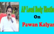 AP Local Body Election Results on Pawan Kalyan Janasena Party Vizagvision
