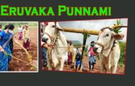 సింహాచలం ఘనంగా ఏరువాక పున్నమిని భక్తి శ్రద్ధలతో ఘనంగా నిర్వహించారు Visakhapatnam Vizagvision