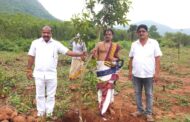 నృసింహ వనంలో మొక్కలు నాటిన సింహాచలం దేవస్థానం అర్చకులు , వేద పండితులుప్రపంచ పర్యావరణ దినోత్సవంనాడు అంటే ఈ నెల 5వ తేదీన మొక్కలు నాటే కార్యక్రమాన్ని సింహాచలం దేవస్థానం ఛైర్ పర్సన్ సంచయిత గజపతి, ఈఓ సూర్యకళ, ట్రస్టు బోర్డు సభ్యులు, ప్రత్యేక ఆహ్వానితులు ప్రారంభించారు. ఈ డ్రైవ్ ఒక్కరోజుకో, ఒక్క ప్రాతానికో, ఒక వర్గానికో పరిమితం కాకుండా… సింహాచలం దేవస్థానం ఉద్యోగులు గోశాల ఎక్స్ టెన్షన్ సెంటర్ లో వివిధ రకాల మొక్కల్ని ఇవాళ నాటారు. దేవస్థానం వైదిక వర్గాలు, వేద పండితులు, అర్చకులు ఉత్సాహంగా మొక్కల్ని నాటారు. మొత్తం కార్యక్రమాన్ని గోశాల AEO రమణమూర్తి, గోశాల ఇన్ ఛార్జ్ హరి పర్యవేక్షించారు. ఉద్యోగులందరితోనూ మొక్కల్ని నాటిస్తామని… అందరూ ఉత్సాహంగా ముందుకొస్తున్నారని AEO రమణమూర్తి, హరి తెలిపారు. ఈ క్లీన్ అండ్ గ్రీన్ డ్రైవ్ నిరంతరం కొనసాగుతుందని ఆలయ ధర్మకర్త సంచయిత గజపతి, ఈఓ, ట్రస్టుబోర్డు సభ్యులు, ప్రత్యేక ఆహ్వానితులు తెలిపారు. ప్రపంచ పర్యావరణ దినోత్సవంనాడు చేపట్టిన కార్యక్రమం స్ఫూర్తితో ఉద్యోగులంతా ముందుకెళ్లాలని ఈఓ సూచించారు. ధర్మకర్త ఇప్పటికే తనకిష్టమైన ఆంధ్రా రకం పండూరి మామిడి పండు మొక్కను నాటానని సోషల్ మీడియాలో ప్రకటించారు. ఇవాళ మొక్కహలు నాటినవారిలో స్థానాచార్యులు డాక్టర్ రాజగోపాల్, ఉప ప్రధాన అర్చకులు శ్రీనివాస ఆచార్యులు, హవల్దార్ గోపాల్, అలంకారి సీతారామాచార్యులు ఉన్నారు. ప్రతి ఒక్కరు మొక్కను నాటి… దాన్ని పరిరక్షిస్తే… కరోనా లాంటి వ్యాధులు భవిష్యత్ లో రావని అర్చకులు చెప్పారు. ప్రకృతిని, పచ్చదనాన్ని కాపాడుకోవడం ప్రతిఒక్కరి విధని పిలుపునిచ్చారు Simachalam,Visakhapatnam, Vizagvision.....