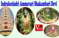 శ్రీ దుర్గామల్లేశ్వర ఇంద్రకీలాద్రి శ్రీ అమ్మవారి శాకాంబరీ దేవి ఉత్సవములు విజయవాడ Vizagvision