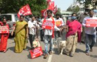 2 కోట్లతో కుక్కల పార్కుకు వ్యతిరేకంగా కుక్కల తో CPM నిరసన in Visakhapatnam Vizagvision