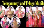 Telugammayi | Telugu Mahila | winners | Ramp walk | Visakhapatnam | Vizagvision