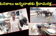 శునకాలు అన్నదాతకు శ్రీరామరక్ష | బాపులపాడు మండలం | కృష్ణాజిల్లా | Vizagvision