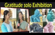 Gratitude solo Exhibition at Hawa Mahal Beach Road Visakhapatnam Vizag Vision