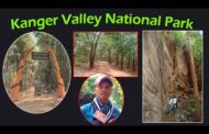 Kanger Valley National Park | Jagdalpur | Bastar | Chhattisgarh | Vizagvision