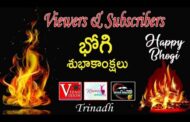 తెలుగు రాష్ట్రాల్లో ఘనంగా భోగి సంబరాలు Vizag Vision