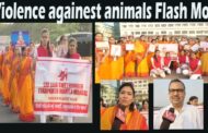 हिंसा VS अहिंसा Awareness Rally beach road by Shree Jain Shwetambar Terapanth Mahila Mandal Vizag