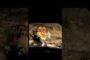 G-20 Decrat with Lighting Beach Road, Parks & Highway Vizag#ytshorts #shots #vizagvision