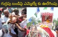 పల్లకిలో గుర్రపు బండిపై ఎమ్మెల్యే కు ఊరేగింపు పాలాభిషేకం..పార్వతీపురం మన్యం Vizagvision