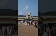 శ్రీవారి ఊరేగింపు తిరుమలలో #ytshorts #youtubeshorts #తిరుపతి #స్వామివారు