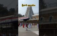 శ్రీవారి ఆలయం తిరుమల తిరుపతి#shots #తిరుపతి #వెంకటేశ్వరస్వామి #యూట్యూబ్