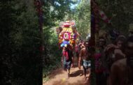 అయ్యప్ప స్వామి పెద్ద పదం 12-1-24 #shots #ytshorts #vizagvision