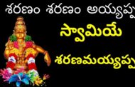 శరణం శరణం అయ్యప్ప |  స్వామియే శరణమయ్యప్ప | శరణు ఘోష | Visakhapatnam | Vizag Vision