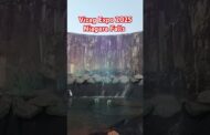 Vizag expo 2025 Niagara falls #vizagvision #ytshots
