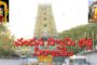 చందన స్వామి భక్త నీరాజనం కిటకిటలాడిన సింహగిరి.Visakhapatnam Vizagvison