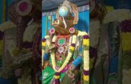 వరాహ అవతారంలో జగన్నాథ స్వామి #vizagvision #ytshots #కూర్మావతారం