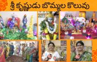 Vizagvision:శ్రీ కృష్ణుడు బొమ్మల కొలువు in Visakhapatnam