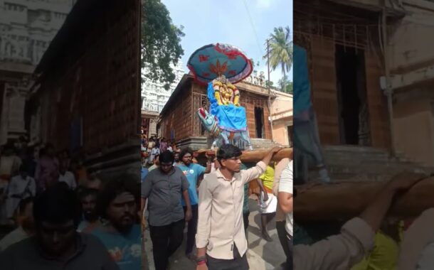 అరుణాచలం ఉత్సవ మూర్తుల విగ్రహాలు ఊరేగింపు#vizagvision #ytshots