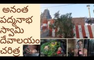 అనంత పద్మనాభ స్వామి దేవాలయం చరిత్ర  పద్మనాభం in Visakhapatnam Vizag Vision