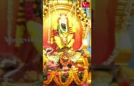శ్రీ కరకచెట్టు పోలమాంబ అమ్మవారి ఉత్సవాలు #vizagvision #ytshots