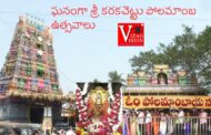 ఘనంగా శ్రీ కరకచెట్టు పోలమాంబ ఉత్సవాలు in Visakhapatnam Vizag Vision