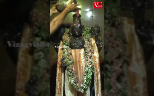 శ్రీవారికి స్నపన తిరుమంజనం పాలు, పెరుగు, తేనే, నెయి, పంచదార, సుగంధ ద్రవ్యములతో అభిషేకము #vizagvision